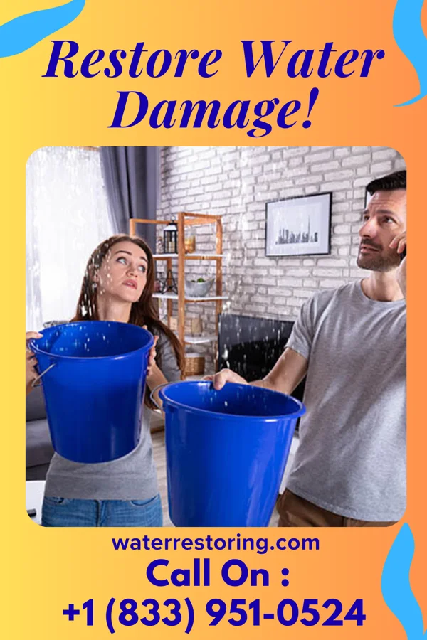 water restoration Crown Recovery Inc West Nyack